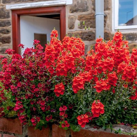 Chimes Cottage Guisborough Eksteriør bilde