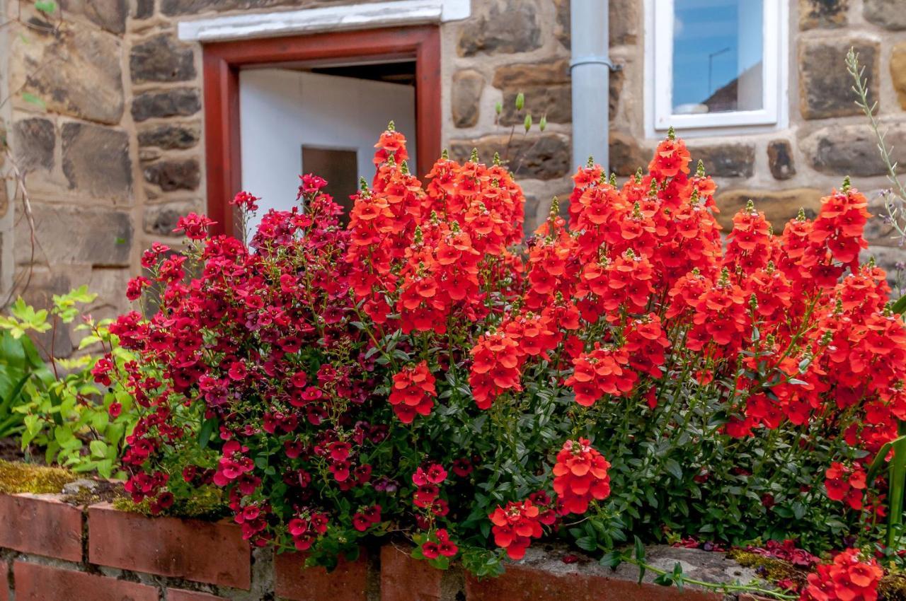 Chimes Cottage Guisborough Eksteriør bilde